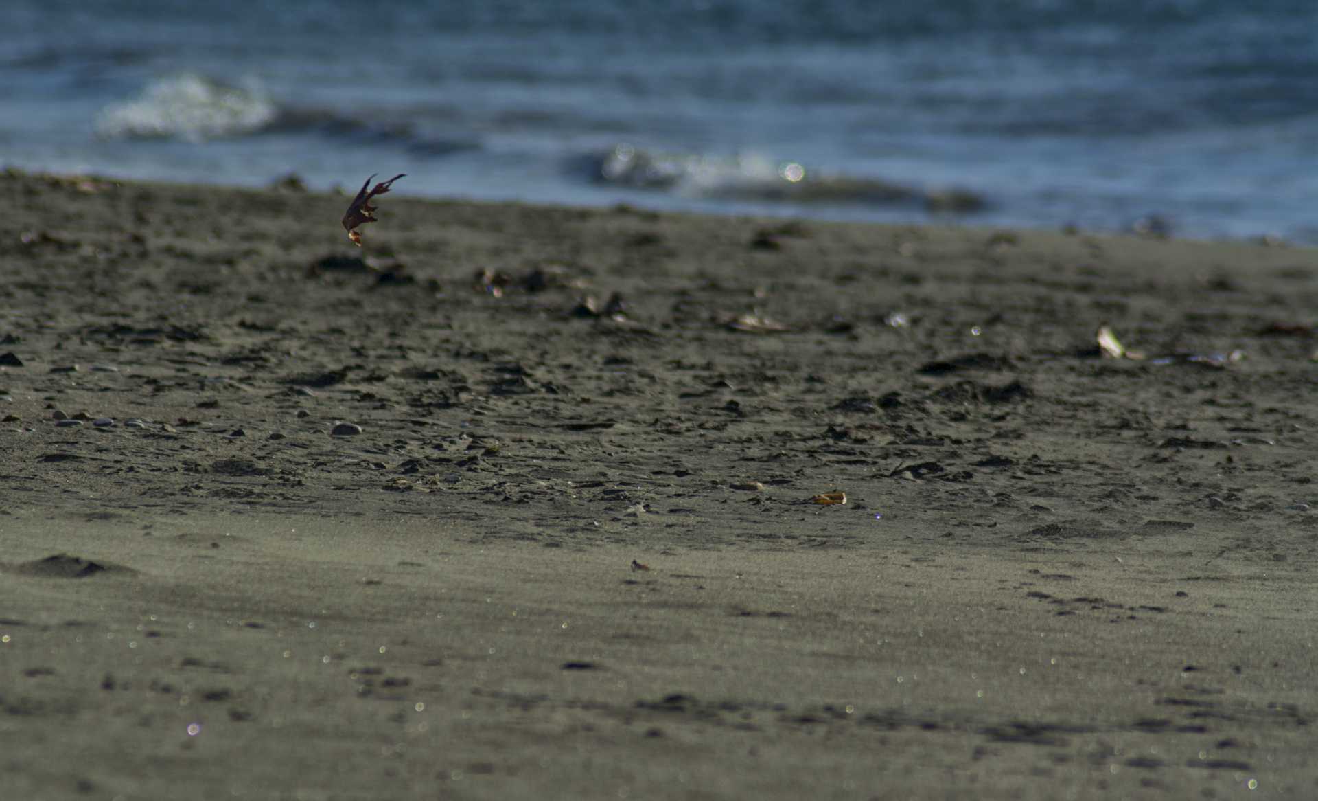 Ad Ostia  arrivata la Buriana dell'Epifania